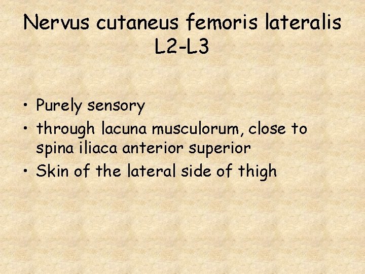 Nervus cutaneus femoris lateralis L 2 -L 3 • Purely sensory • through lacuna