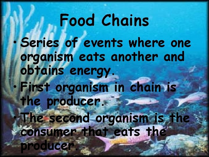 Food Chains • Series of events where one organism eats another and obtains energy.