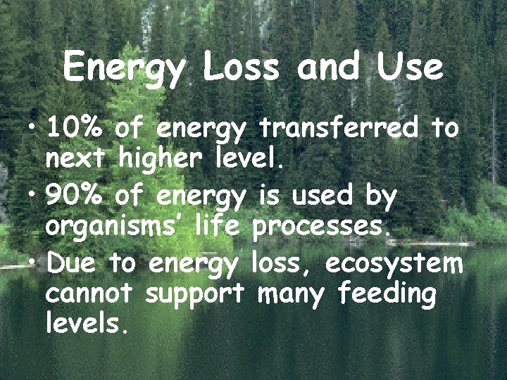 Energy Loss and Use • 10% of energy transferred to next higher level. •