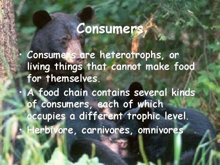 Consumers • Consumers are heterotrophs, or living things that cannot make food for themselves.