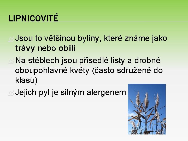 LIPNICOVITÉ Jsou to většinou byliny, které známe jako trávy nebo obilí Na stéblech jsou