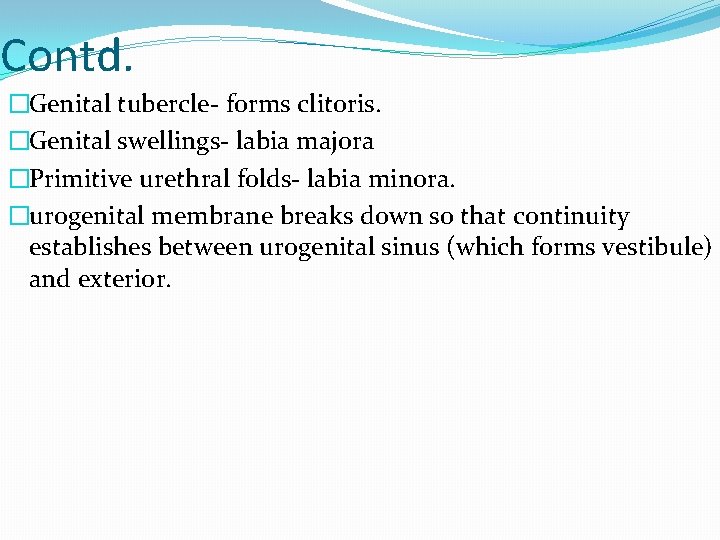 Contd. �Genital tubercle- forms clitoris. �Genital swellings- labia majora �Primitive urethral folds- labia minora.