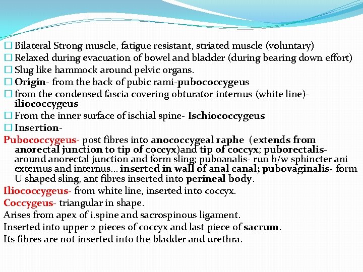 � Bilateral Strong muscle, fatigue resistant, striated muscle (voluntary) � Relaxed during evacuation of