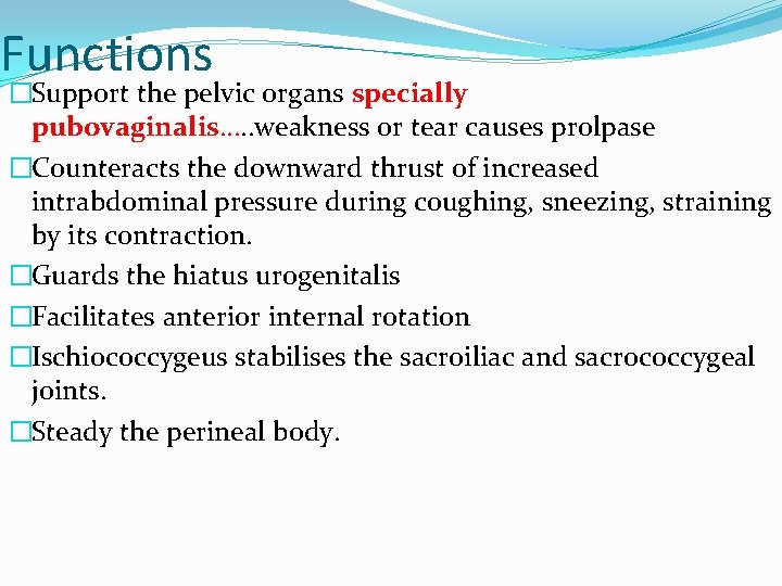 Functions �Support the pelvic organs specially pubovaginalis…. . weakness or tear causes prolpase �Counteracts