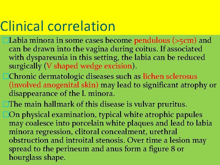 Clinical correlation �Labia minora in some cases become pendulous (>5 cm) and can be