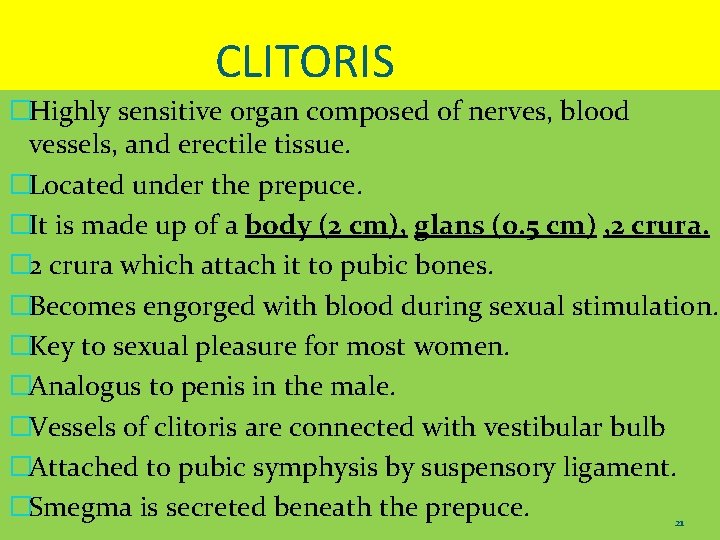 CLITORIS �Highly sensitive organ composed of nerves, blood vessels, and erectile tissue. �Located under