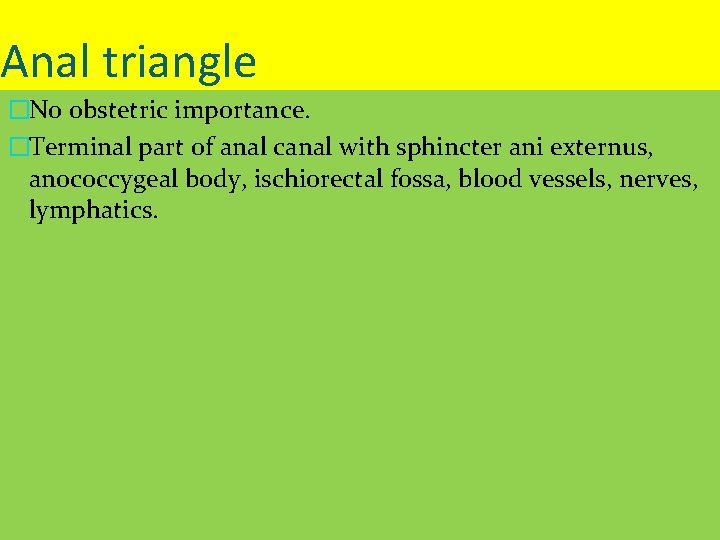 Anal triangle �No obstetric importance. �Terminal part of anal canal with sphincter ani externus,