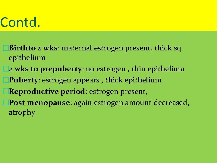 Contd. �Birthto 2 wks: maternal estrogen present, thick sq epithelium � 2 wks to