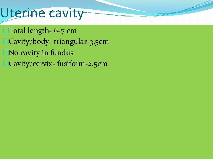 Uterine cavity �Total length- 6 -7 cm �Cavity/body- triangular-3. 5 cm �No cavity in