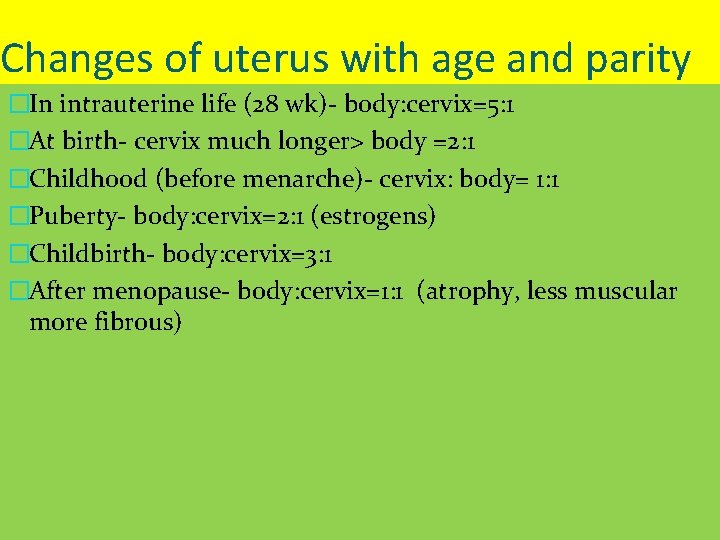 Changes of uterus with age and parity �In intrauterine life (28 wk)- body: cervix=5: