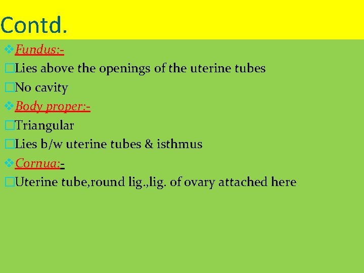 Contd. v. Fundus: �Lies above the openings of the uterine tubes �No cavity v.