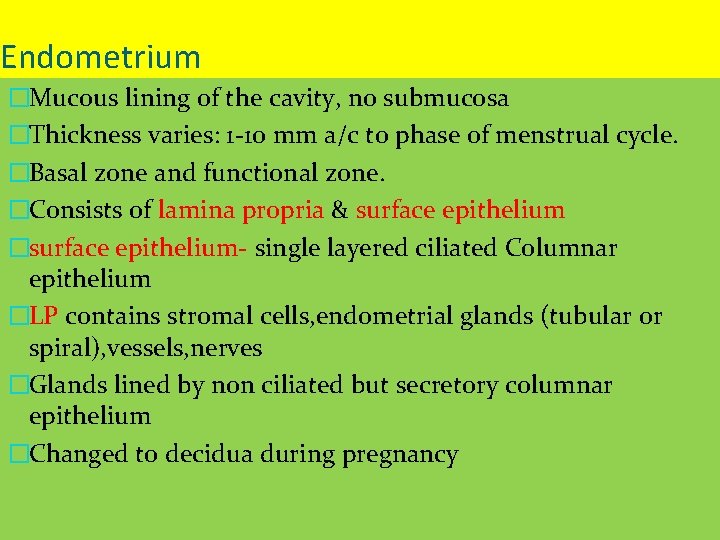 Endometrium �Mucous lining of the cavity, no submucosa �Thickness varies: 1 -10 mm a/c