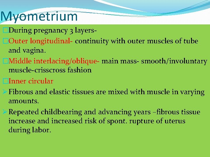 Myometrium �During pregnancy 3 layers�Outer longitudinal- continuity with outer muscles of tube and vagina.