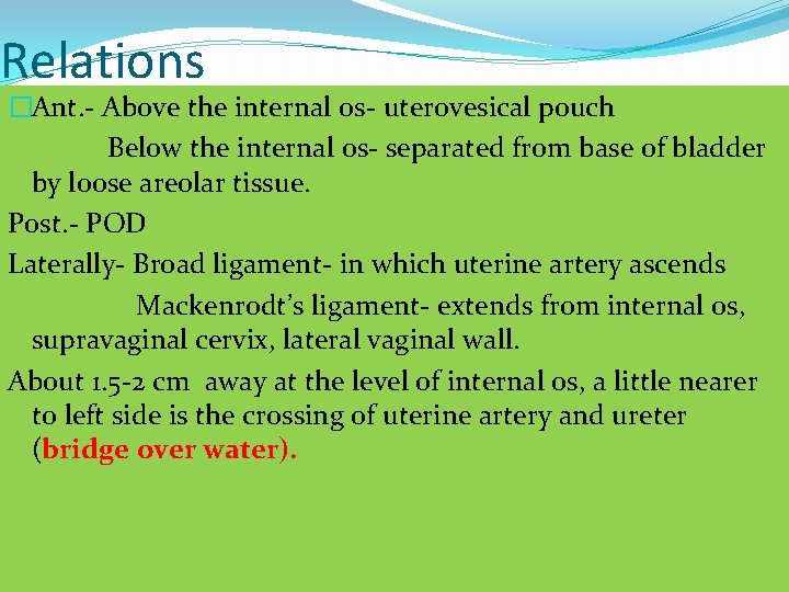 Relations �Ant. - Above the internal os- uterovesical pouch Below the internal os- separated