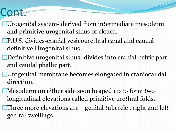 Cont. �Urogenital system- derived from intermediate mesoderm and primitive urogenital sinus of cloaca. �P.