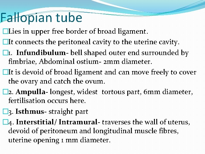 Fallopian tube �Lies in upper free border of broad ligament. �It connects the peritoneal
