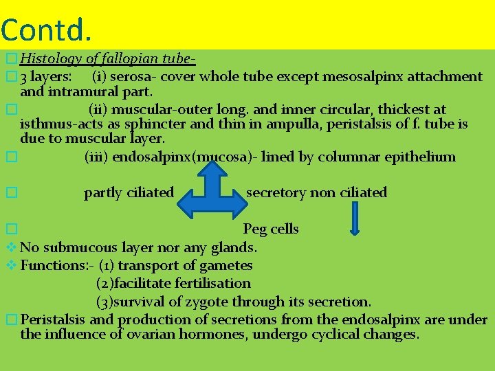 Contd. �Histology of fallopian tube� 3 layers: (i) serosa- cover whole tube except mesosalpinx