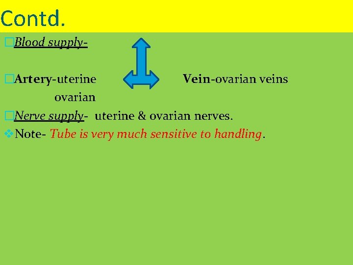 Contd. �Blood supply�Artery-uterine Vein-ovarian veins ovarian �Nerve supply- uterine & ovarian nerves. v. Note-