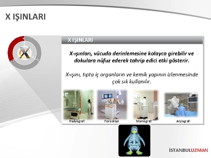 X IŞINLARI X-ışınları, vücuda derinlemesine kolayca girebilir ve dokulara nüfuz ederek tahrip edici etki