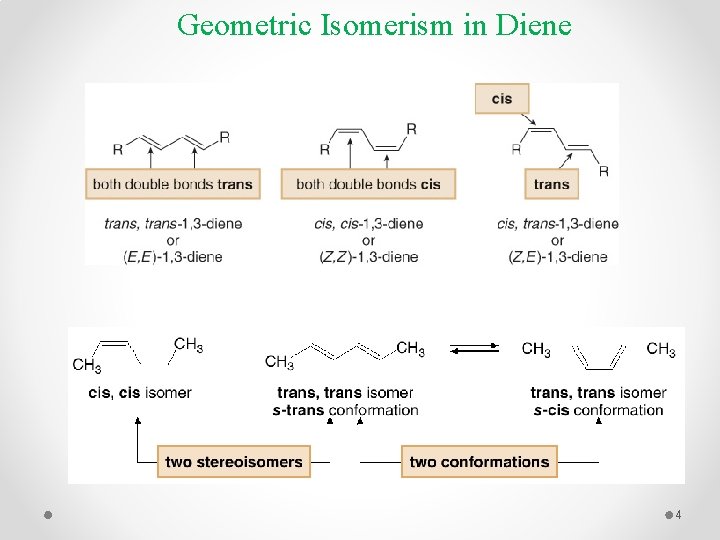 Geometric Isomerism in Diene 4 