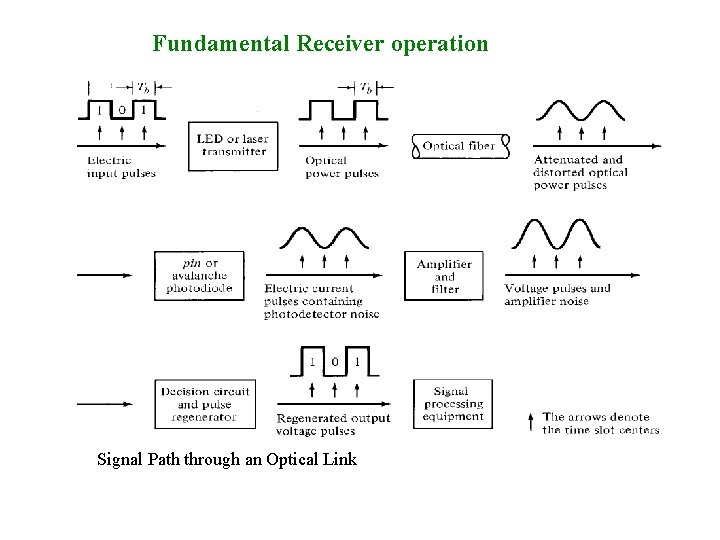 Fundamental Receiver operation Signal Path through an Optical Link 