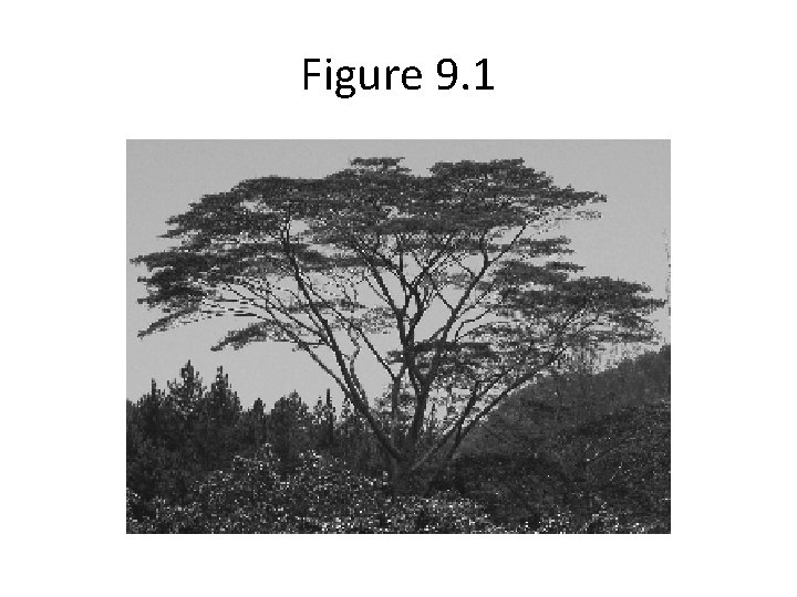 Figure 9. 1 