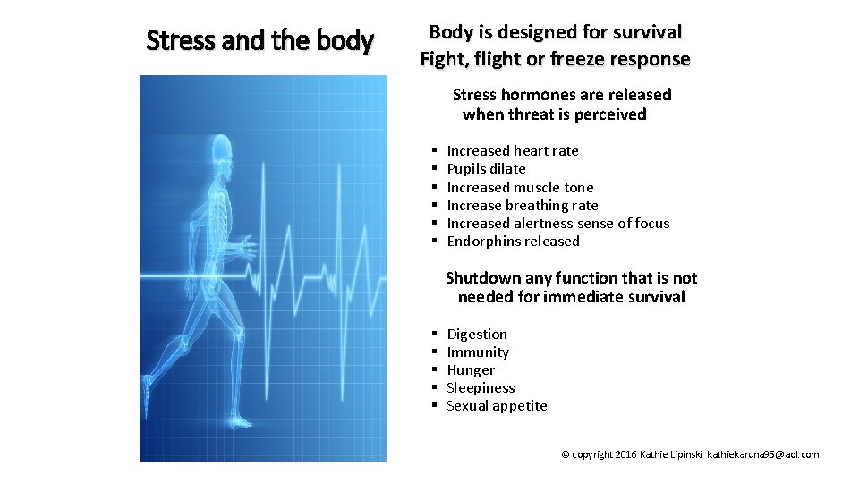 Body is designed for survival Fight, flight or freeze response Stress and the body