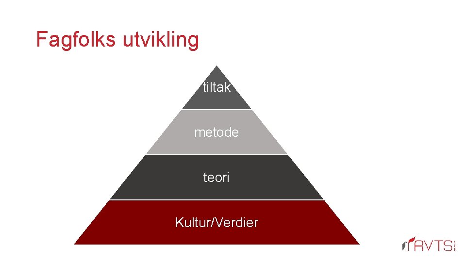 Fagfolks utvikling tiltak metode teori Kultur/Verdier 