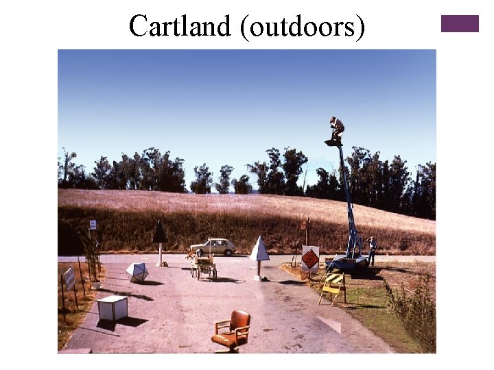 Cartland (outdoors) 