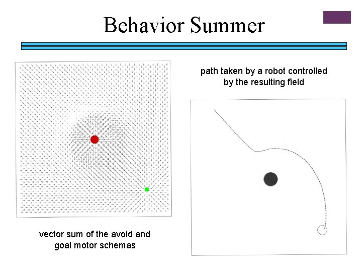 Behavior Summer path taken by a robot controlled by the resulting field vector sum