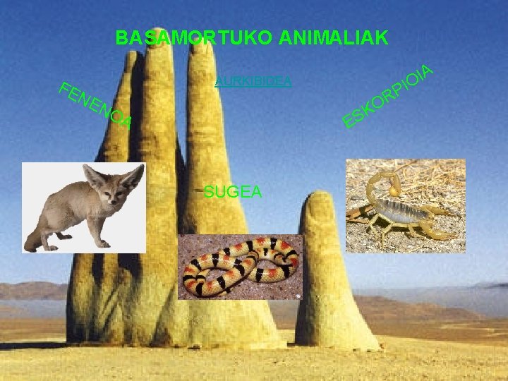 BASAMORTUKOANIMALIAK BASAMORTUKO ANIMALIAK FE FNEENE N N A I O AURKIBIDEA I P R