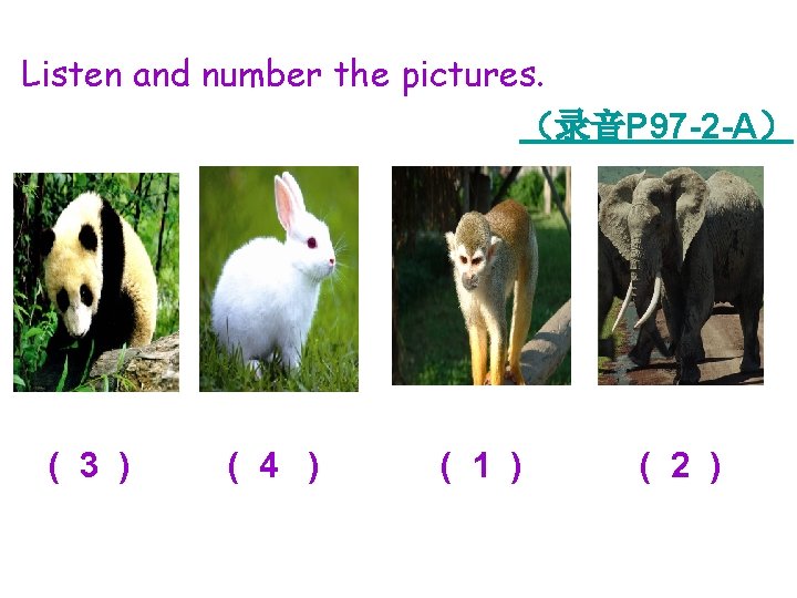 Listen and number the pictures. （录音P 97 -2 -A） ( 3 ) ( 4