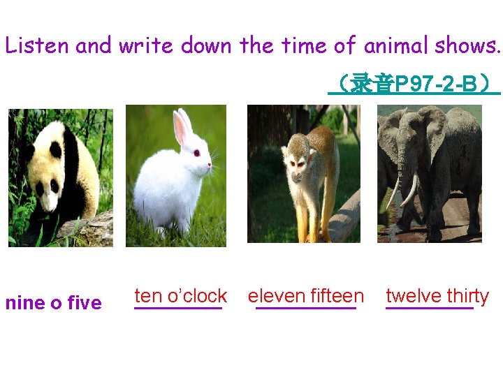 Listen and write down the time of animal shows. （录音P 97 -2 -B） nine