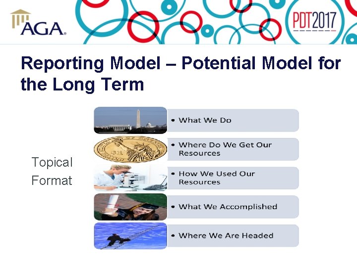 Reporting Model – Potential Model for the Long Term Topical Format 