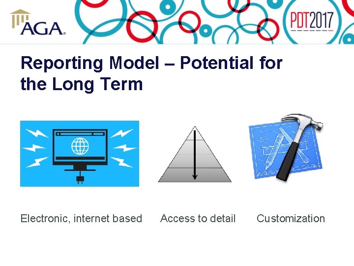 Reporting Model – Potential for the Long Term Electronic, internet based Access to detail