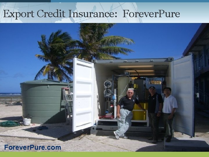 Export Credit Insurance: Forever. Pure. com 