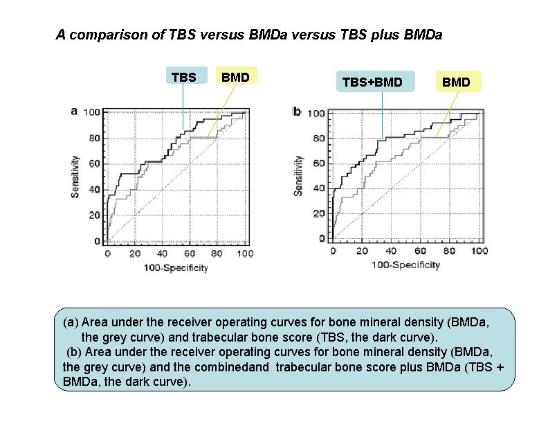 A comparison of TBS versus BMDa versus TBS plus BMDa TBS BMD TBS+BMD (a)