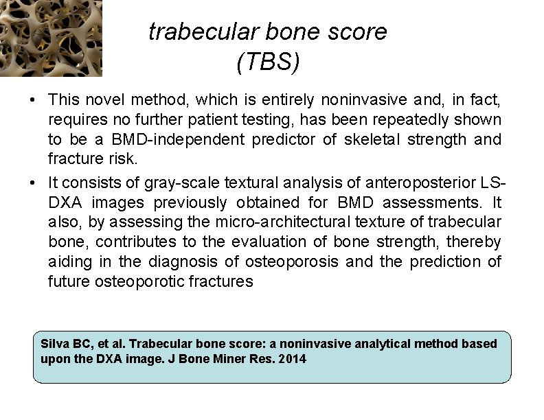 trabecular bone score (TBS) • This novel method, which is entirely noninvasive and, in