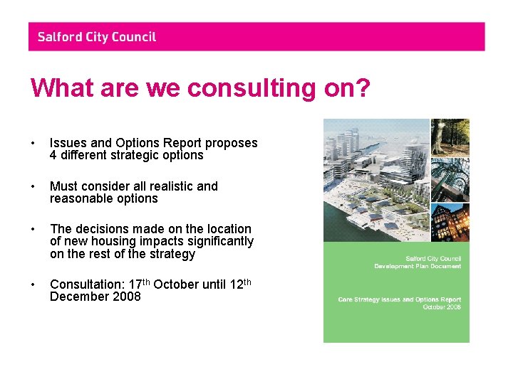 What are we consulting on? • Issues and Options Report proposes 4 different strategic