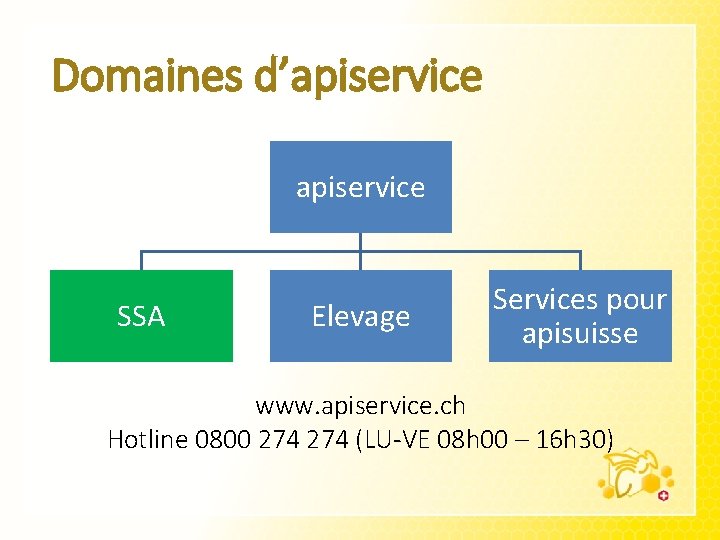 Domaines d’apiservice SSA Elevage Services pour apisuisse www. apiservice. ch Hotline 0800 274 (LU-VE
