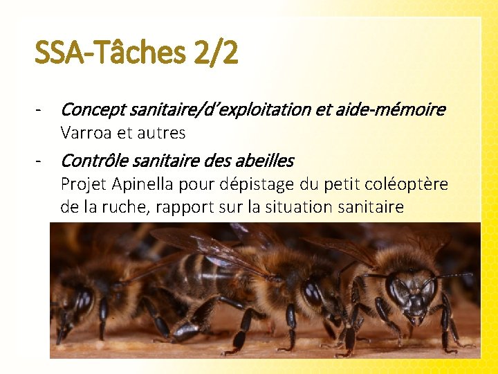 SSA-Tâches 2/2 - Concept sanitaire/d’exploitation et aide-mémoire Varroa et autres - Contrôle sanitaire des