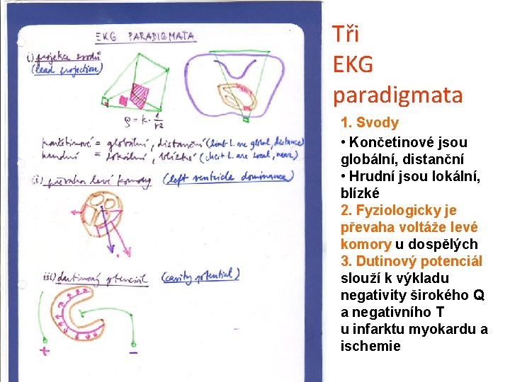 Tři EKG paradigmata 1. Svody • Končetinové jsou globální, distanční • Hrudní jsou lokální,