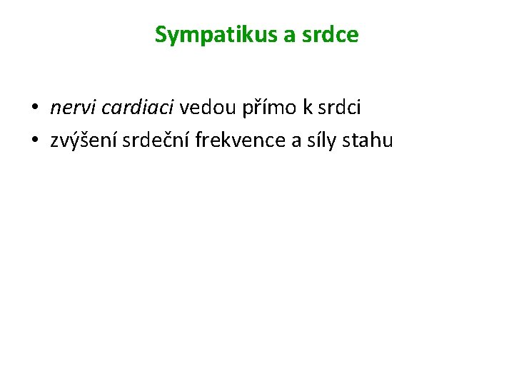 Sympatikus a srdce • nervi cardiaci vedou přímo k srdci • zvýšení srdeční frekvence