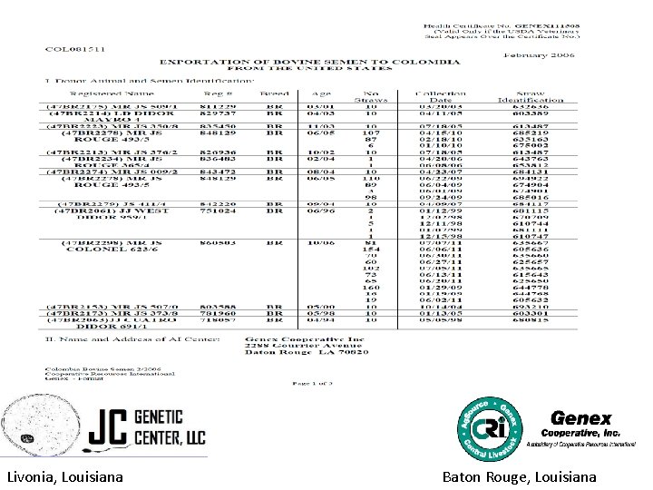 Livonia Louisiana Baton Rouge Louisiana Exporting Semen and