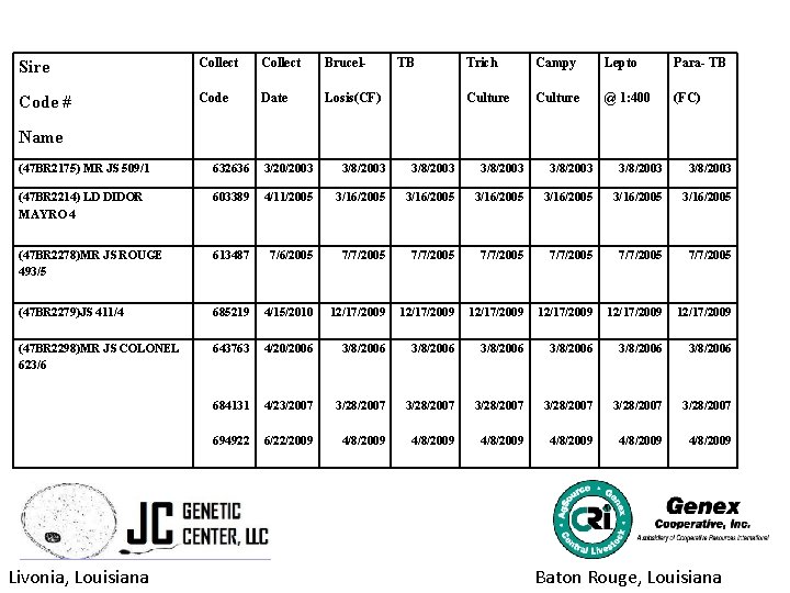 Livonia Louisiana Baton Rouge Louisiana Exporting Semen and