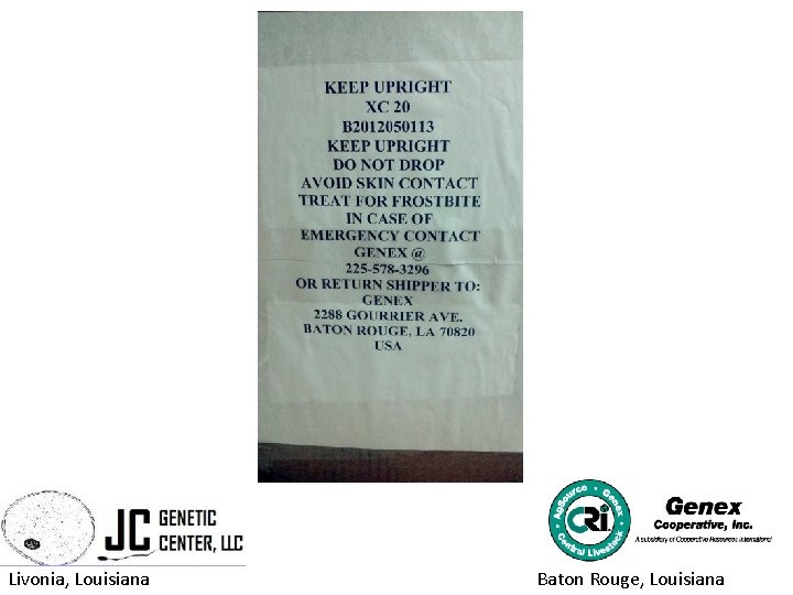 Livonia Louisiana Baton Rouge Louisiana Exporting Semen and