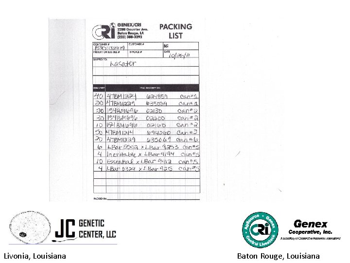 Livonia Louisiana Baton Rouge Louisiana Exporting Semen and