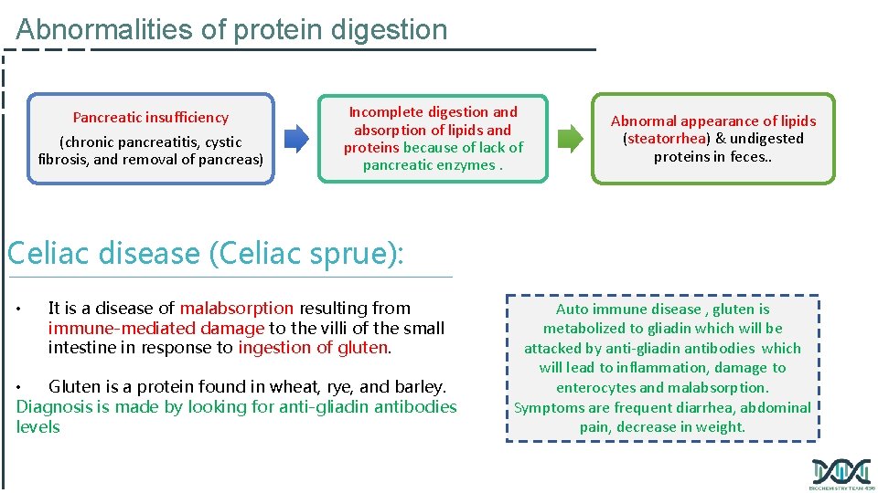 Abnormalities of protein digestion Pancreatic insufficiency (chronic pancreatitis, cystic fibrosis, and removal of pancreas)