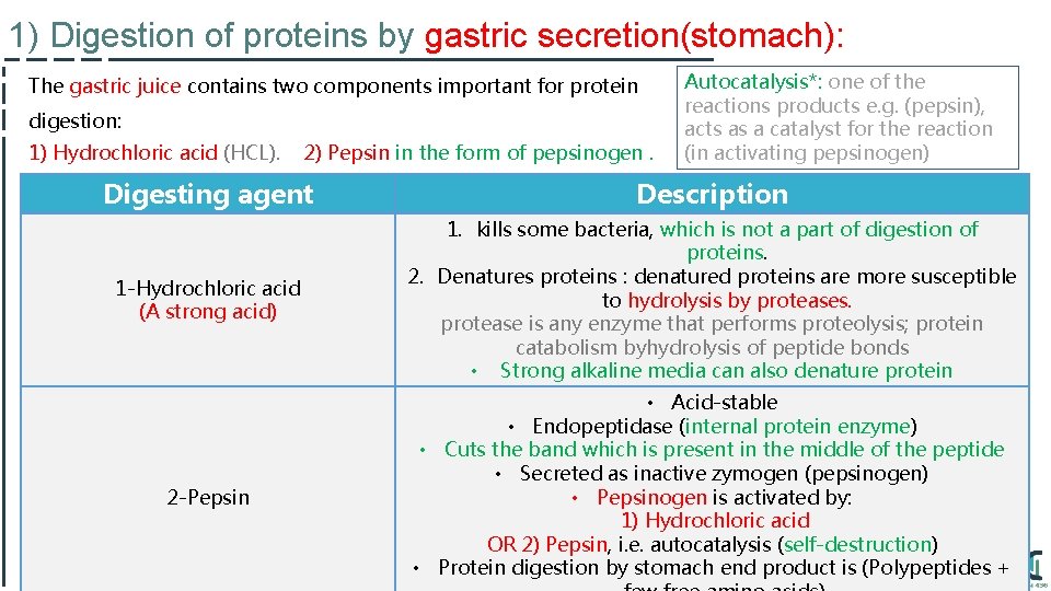 1) Digestion of proteins by gastric secretion(stomach): The gastric juice contains two components important