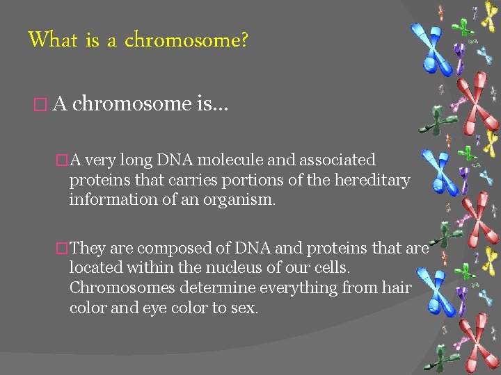 What is a chromosome? � A chromosome is… �A very long DNA molecule and